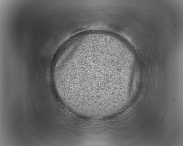 X0000074931263200609151929