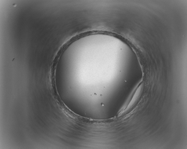 X0000074931264200609151929