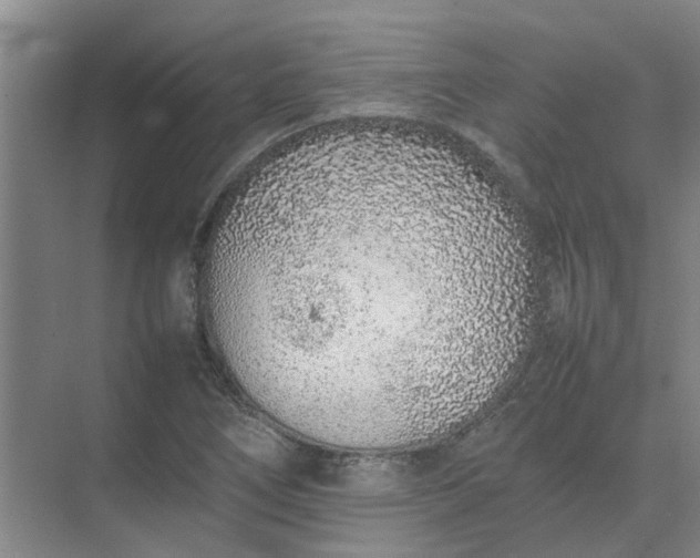 X0000074931266200609151929