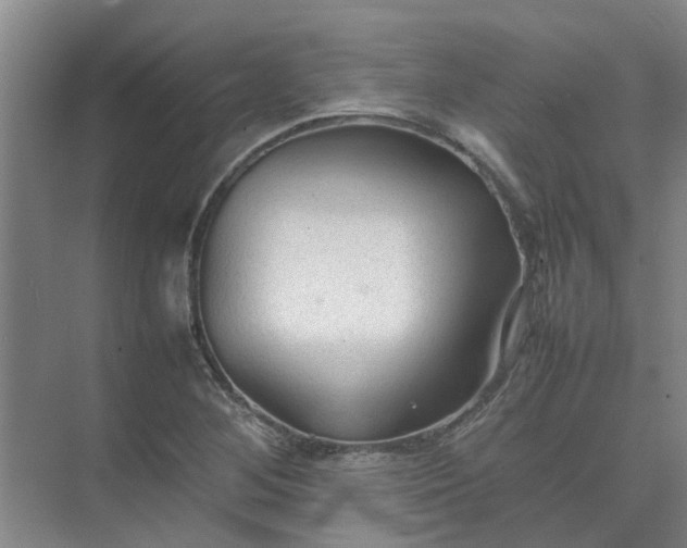 X0000074931268200609151929