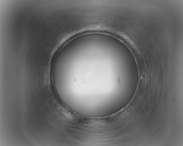 X0000074931270200609151929