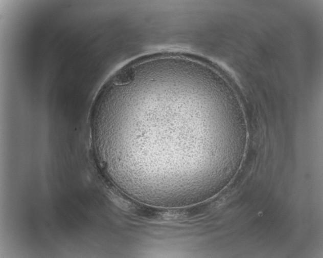 X0000074931271200609151929