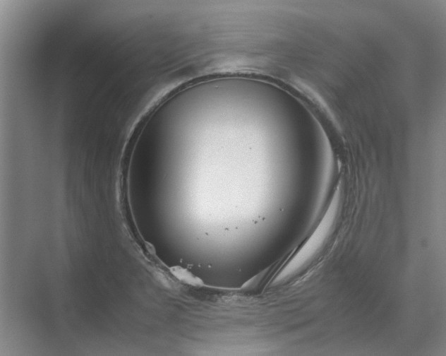 X0000074931277200609151929