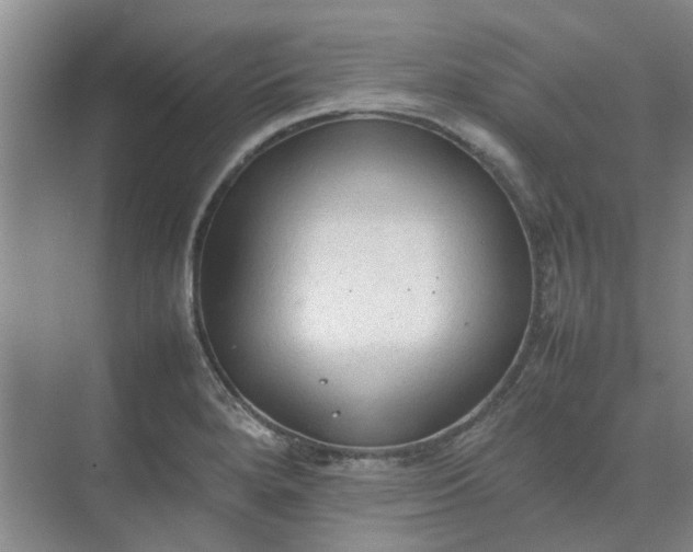 X0000074931280200609151929