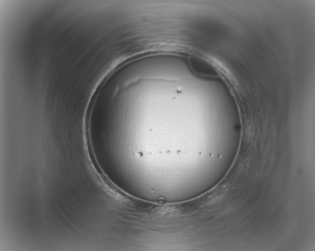 X0000074931283200609151929