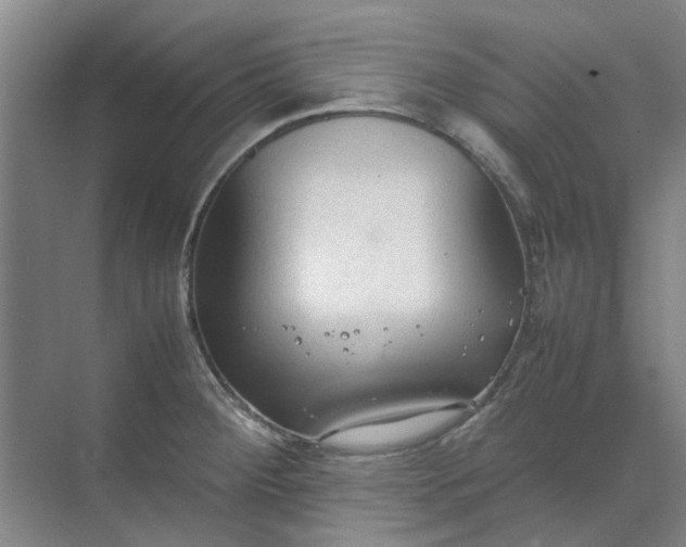 X0000074931284200609151929