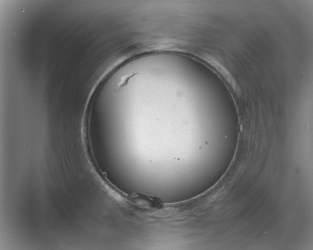 X0000074931285200609151929