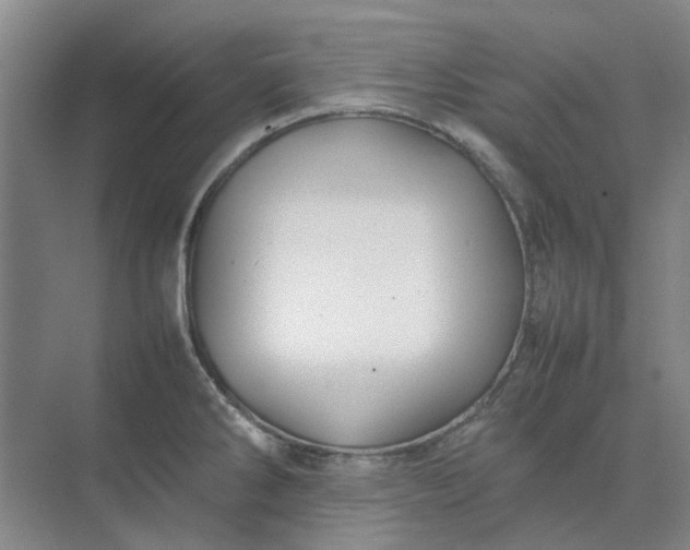 X0000074931286200609151929