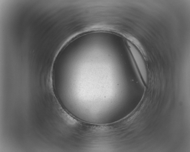 X0000074931288200609151929