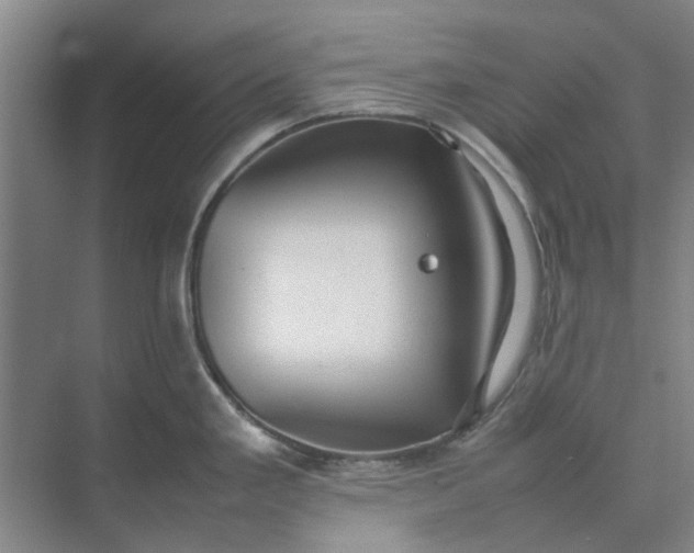 X0000074931293200609151929