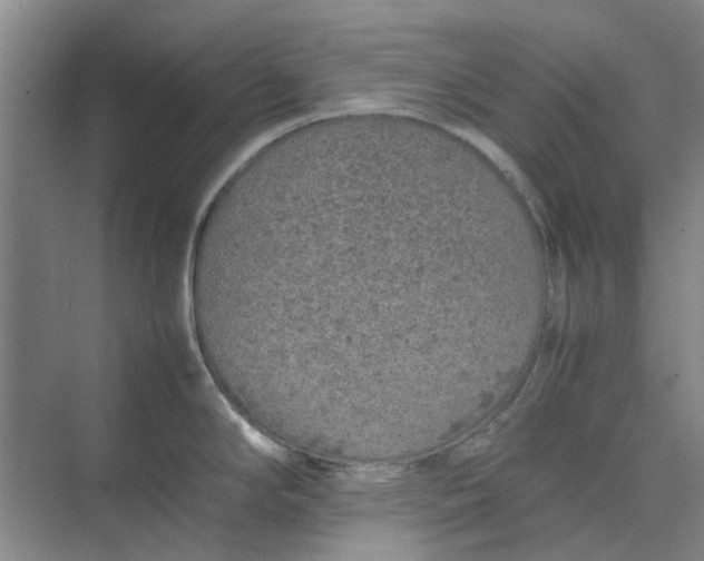 X0000074931294200609151929