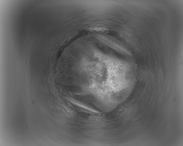 X0000074931297200609151928