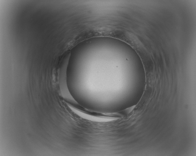 X0000074931298200609151928