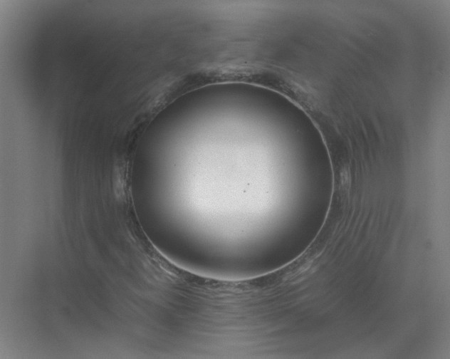 X0000074931300200609151928