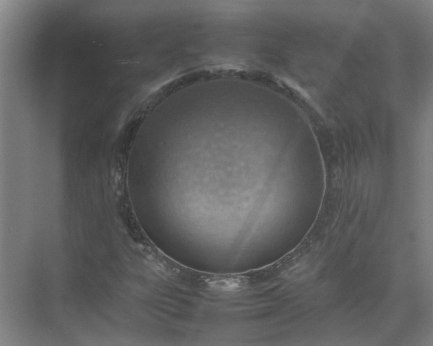 X0000074931303200609151928