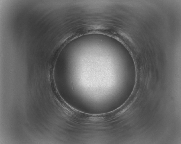 X0000074931305200609151928