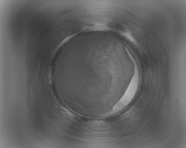 X0000074931306200609151928