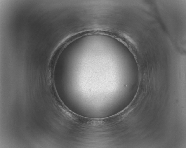 X0000074931310200609151928