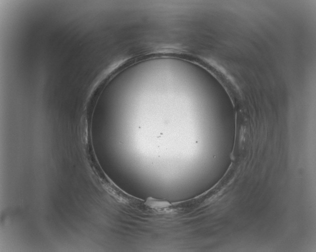 X0000074931317200609151928