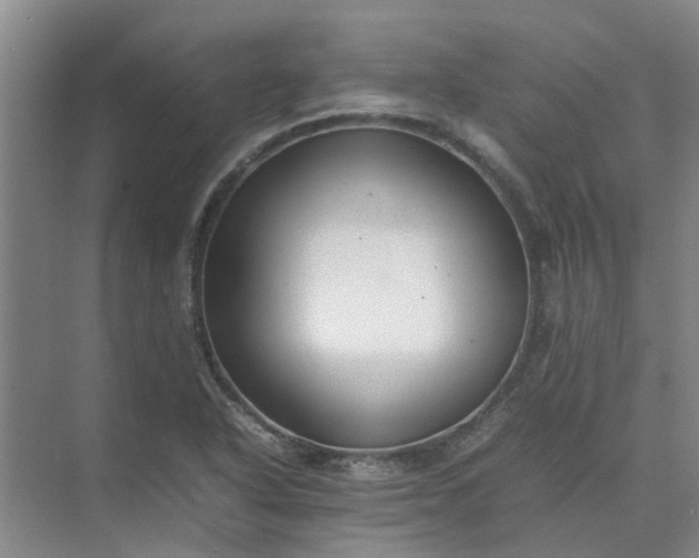 X0000074931318200609151928