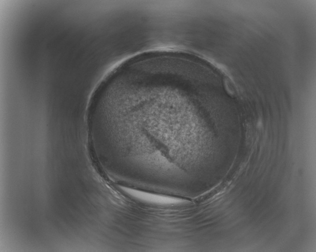 X0000074931319200609151928