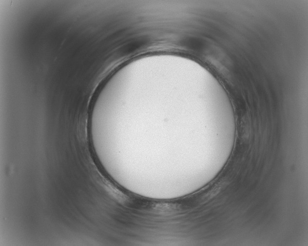 X0000074931322200609151929