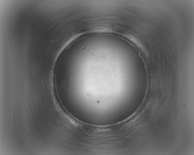 X0000074931325200609151929