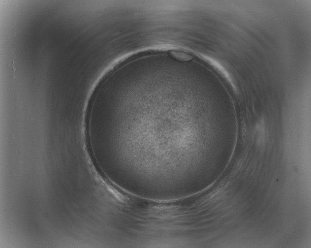 X0000074931327200609151929