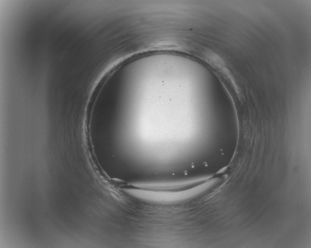 X0000074931328200609151929