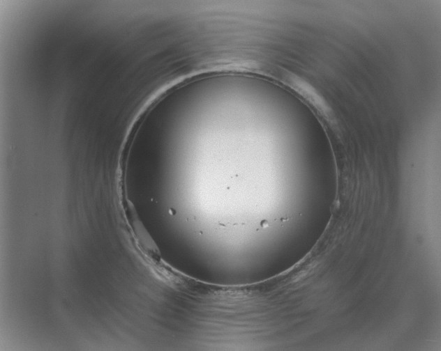 X0000074931332200609151929