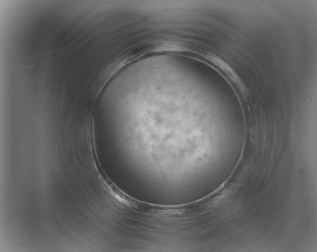 X0000074931337200609151929