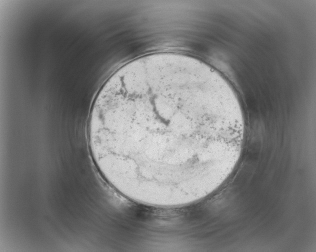 X0000074931338200609151929