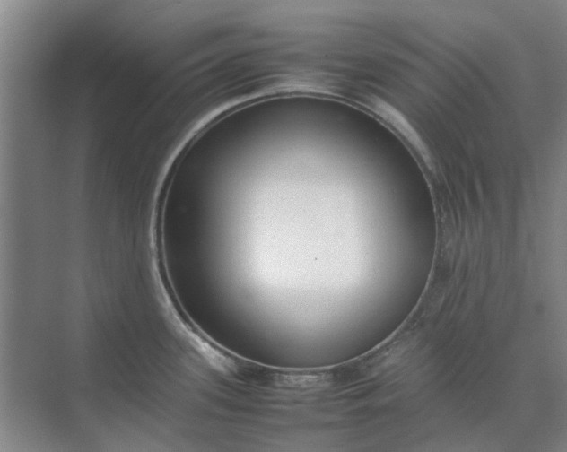 X0000074931339200609151929