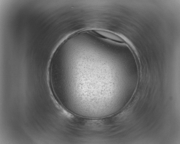 X0000074931341200609151929