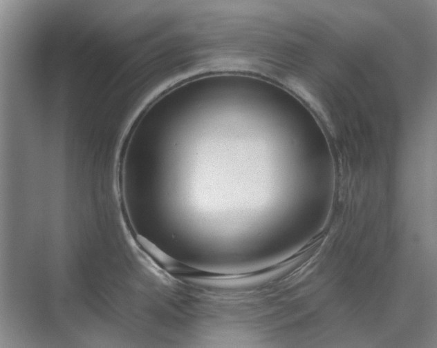 X0000074931342200609151929