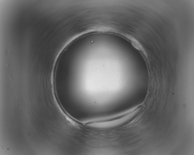 X0000074931343200609151929