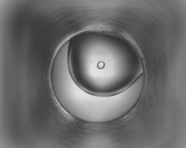 X0000074931344200609151929