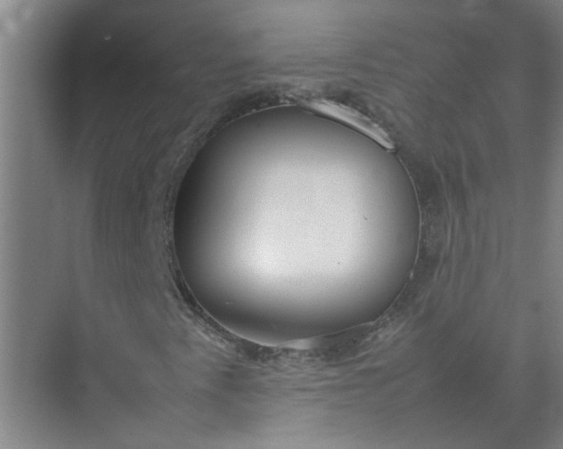 X0000074931345200609151928