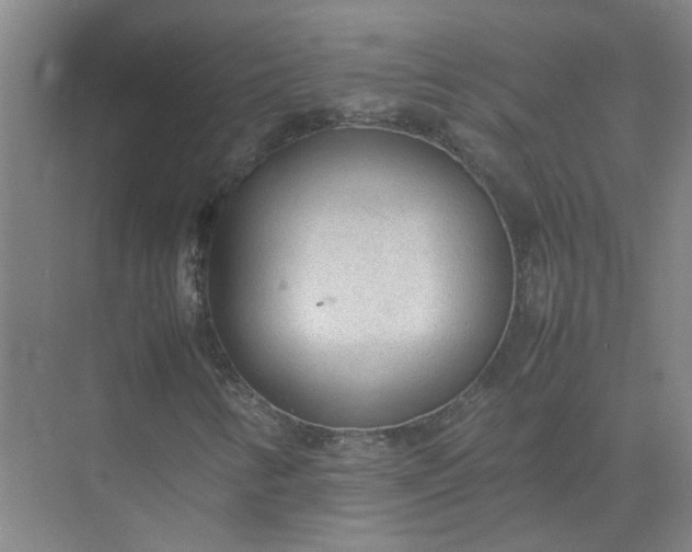 X0000074931346200609151928