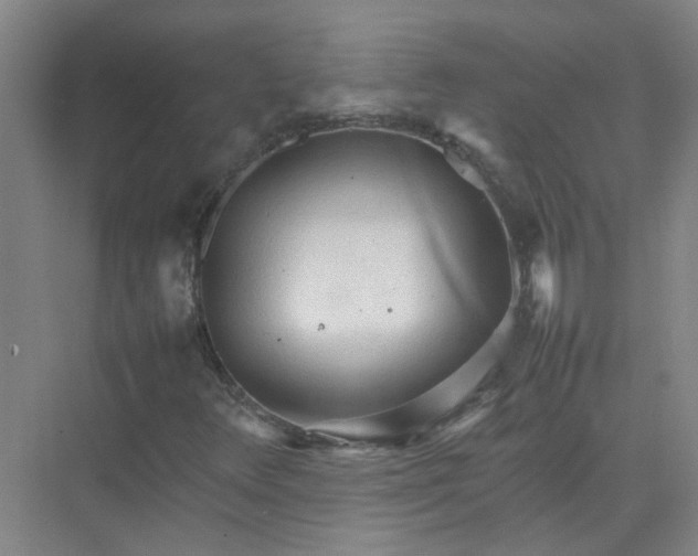 X0000074931348200609151928