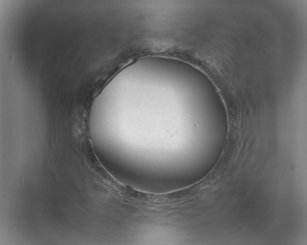 X0000074931349200609151928