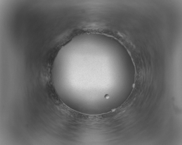 X0000074931350200609151928