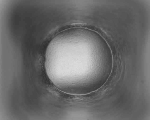 X0000074931351200609151928