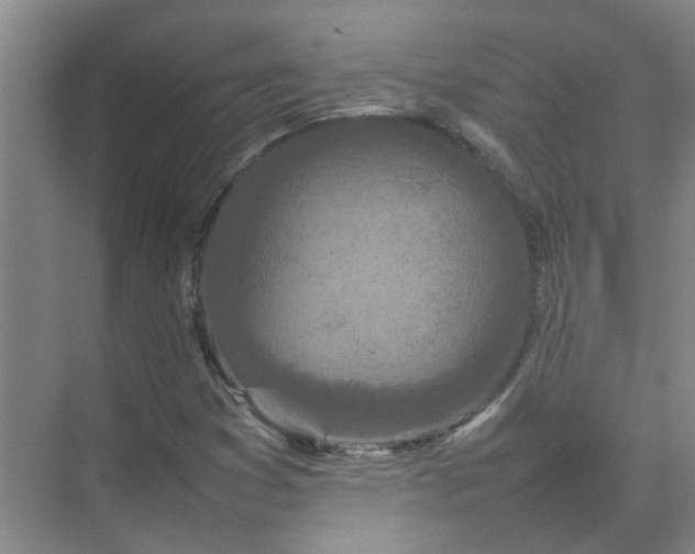 X0000074931353200609151928