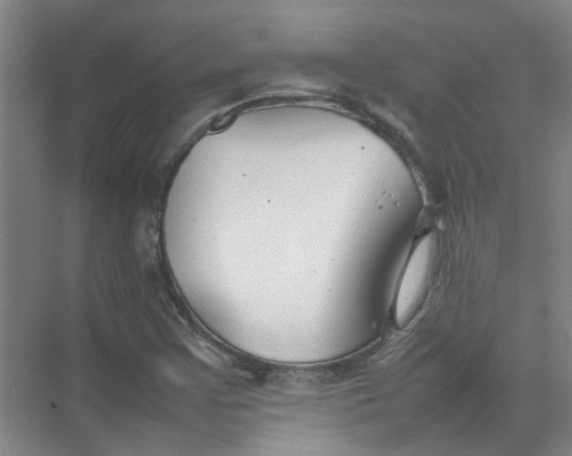 X0000074931355200609151928