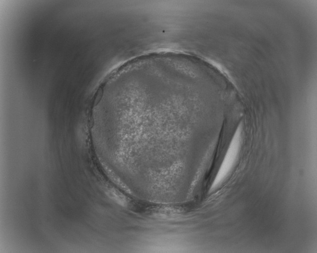 X0000074931359200609151928