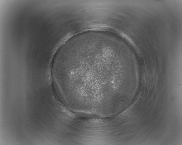 X0000074931362200609151928