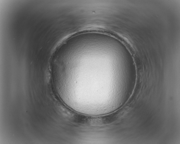 X0000074931363200609151928