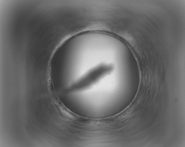 X0000074931366200609151928