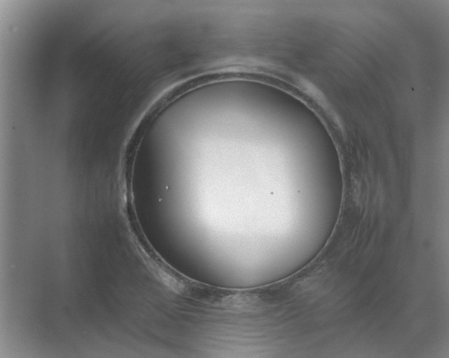 X0000074931368200609151928